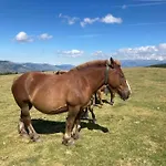 La De Llivia, Cerdanya, Puigcerda. Llívia