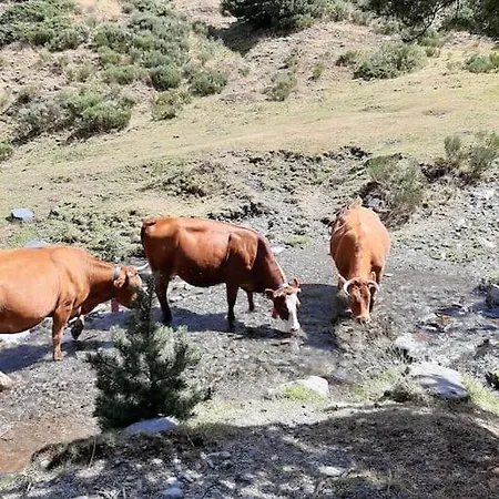 La De Llivia, Cerdanya, Puigcerda. Llivia