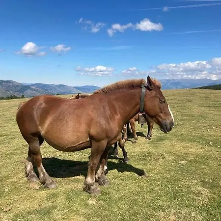 La De Llivia, Cerdanya, Puigcerda. Llivia